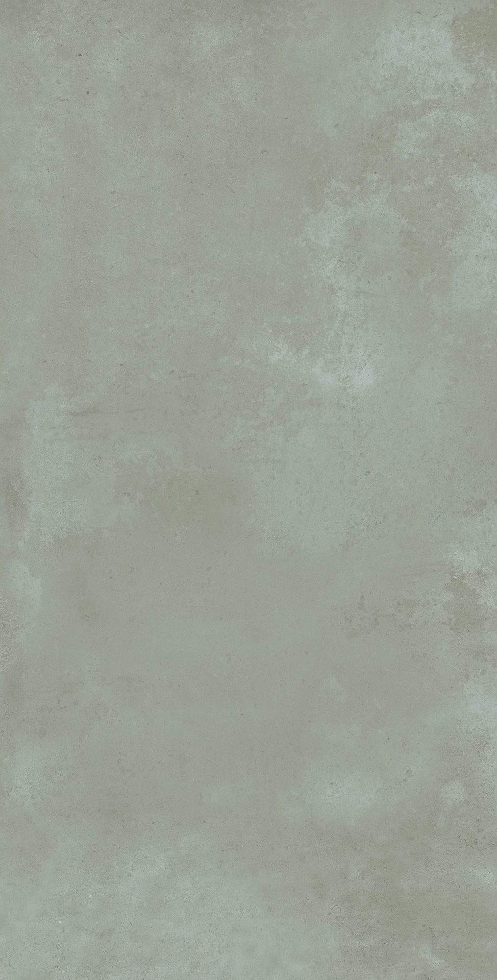 CANVAS FERN